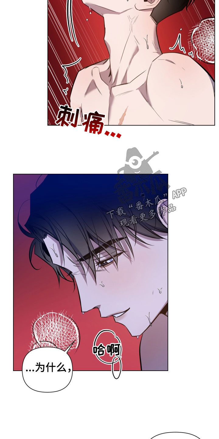 曙光之海盗外衣漫画,第48话2图