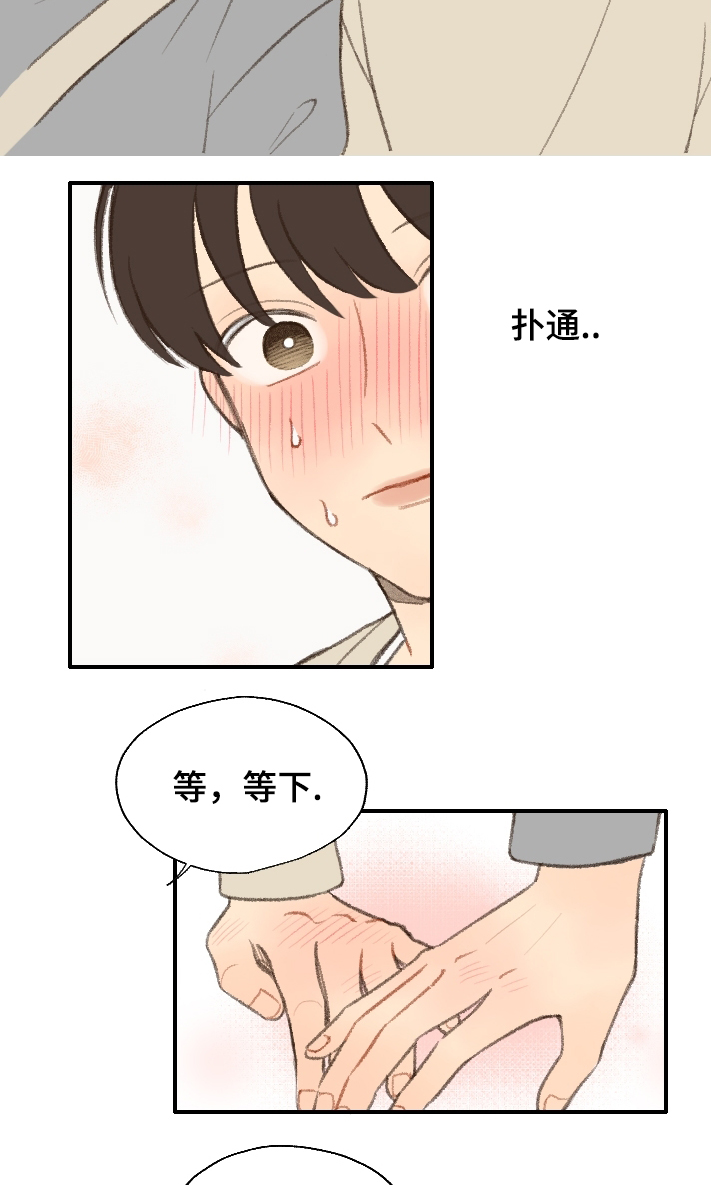 勿忘你什么意思漫画,第19章：告白1图