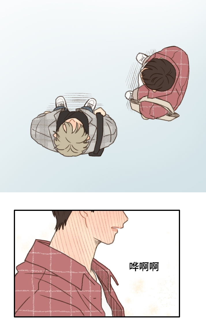 勿忘你什么意思漫画,第16章：答复1图