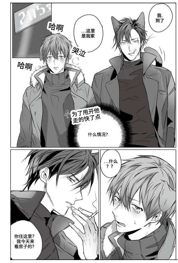 过敏体格漫画,第1章：相遇1图