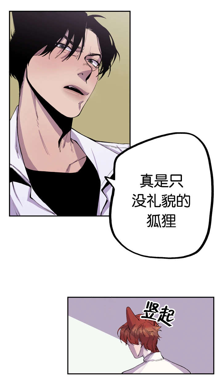 狐狸的天敌是老鹰吗漫画,第6章：寻找狐狸2图