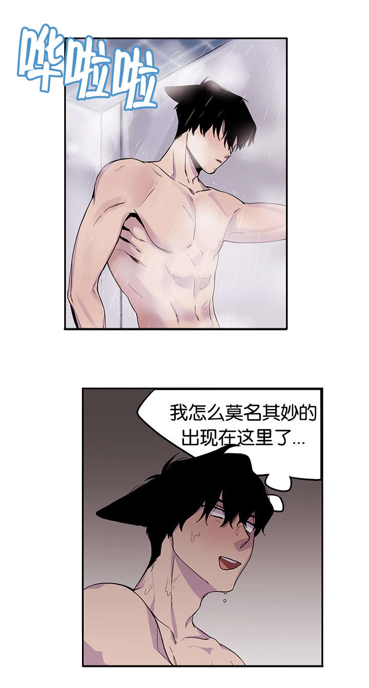 狐狸的天敌有谁图片漫画,第15章：事前准备1图