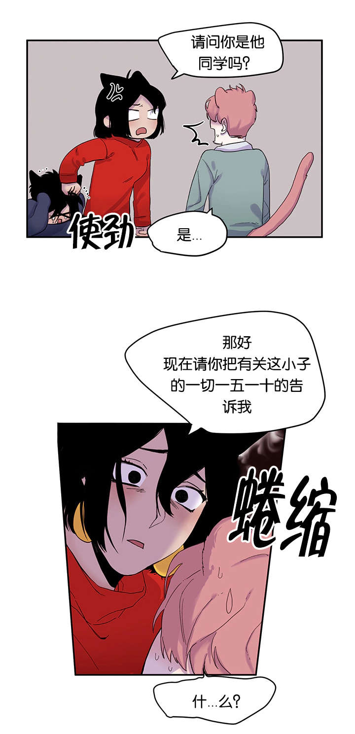 狐狸的天敌有哪些漫画,第20章：姐姐来校抓人了1图