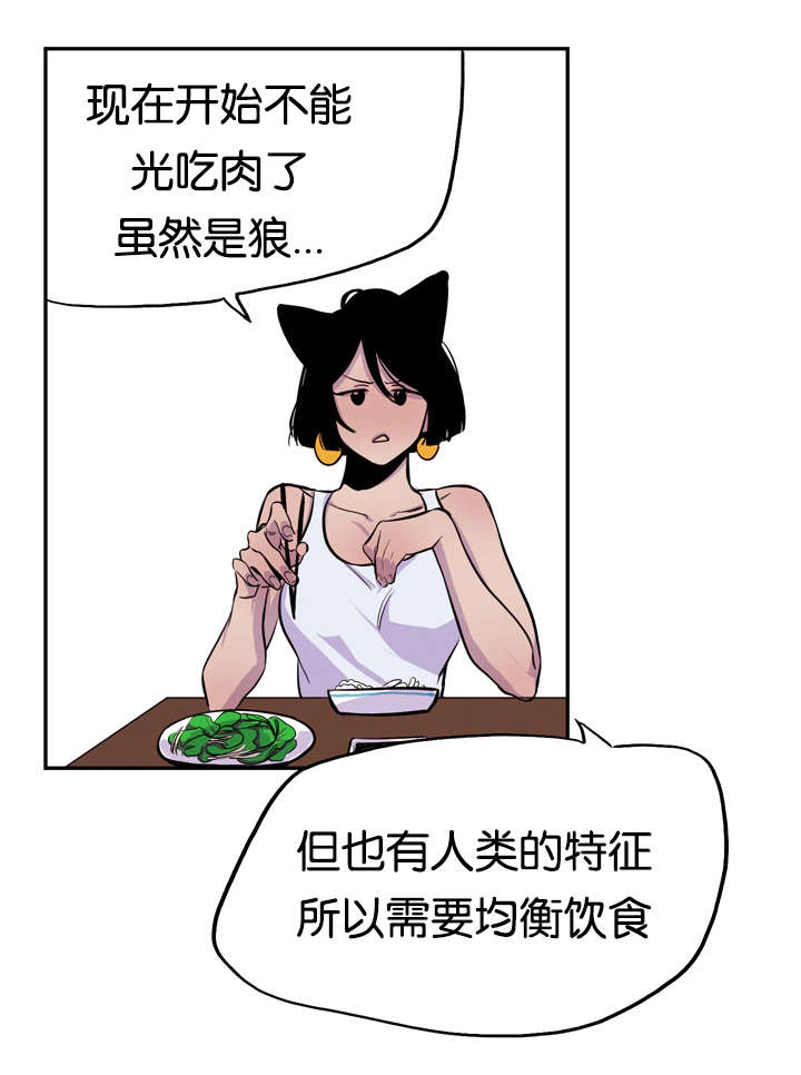 狐狸的夏天第一季漫画,第9章：不准挑食1图