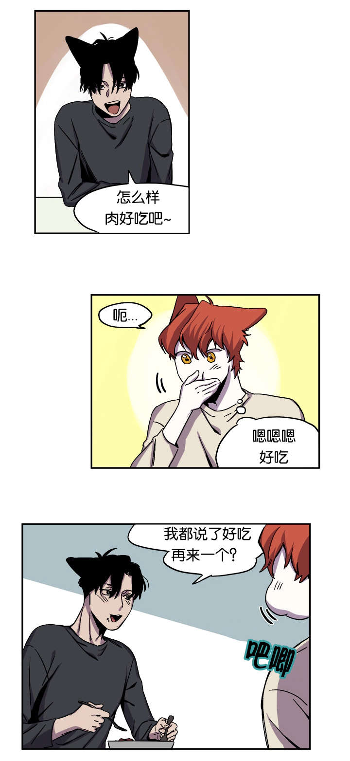 狐狸的故事主题曲漫画,第29章：被撞见2图