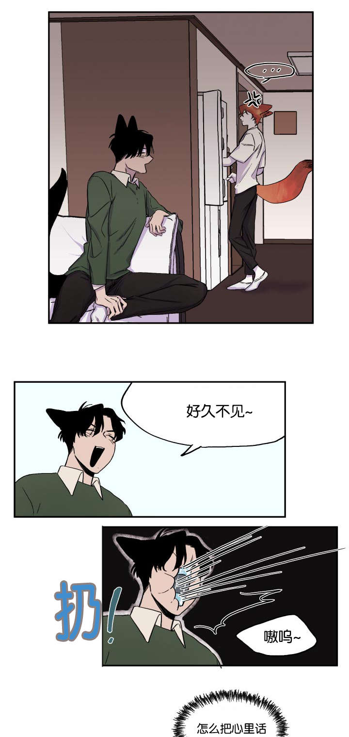 狐狸的天敌是什么动物漫画,第23章：痴汉2图