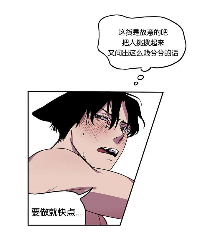 狐狸的真实本性漫画,第28章：防线崩塌1图