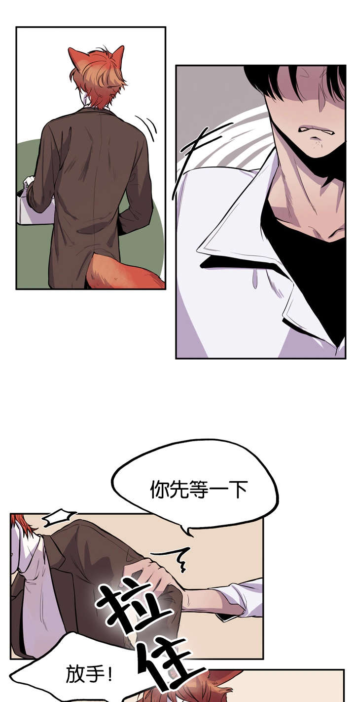 狐狸的天敌是老鹰吗漫画,第7章：对你毫无兴趣2图