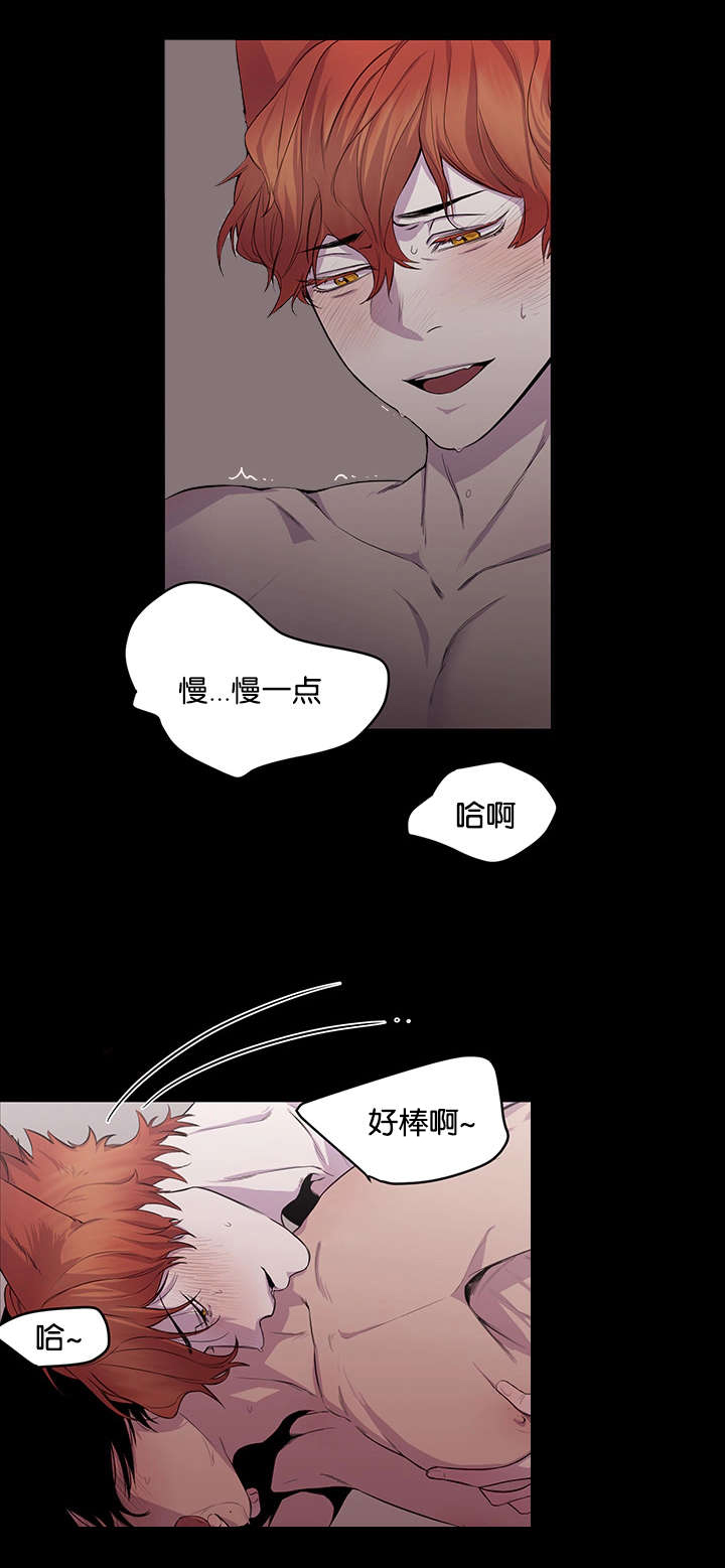 狐狸的天敌是什么动物漫画,第19章：休学打算1图