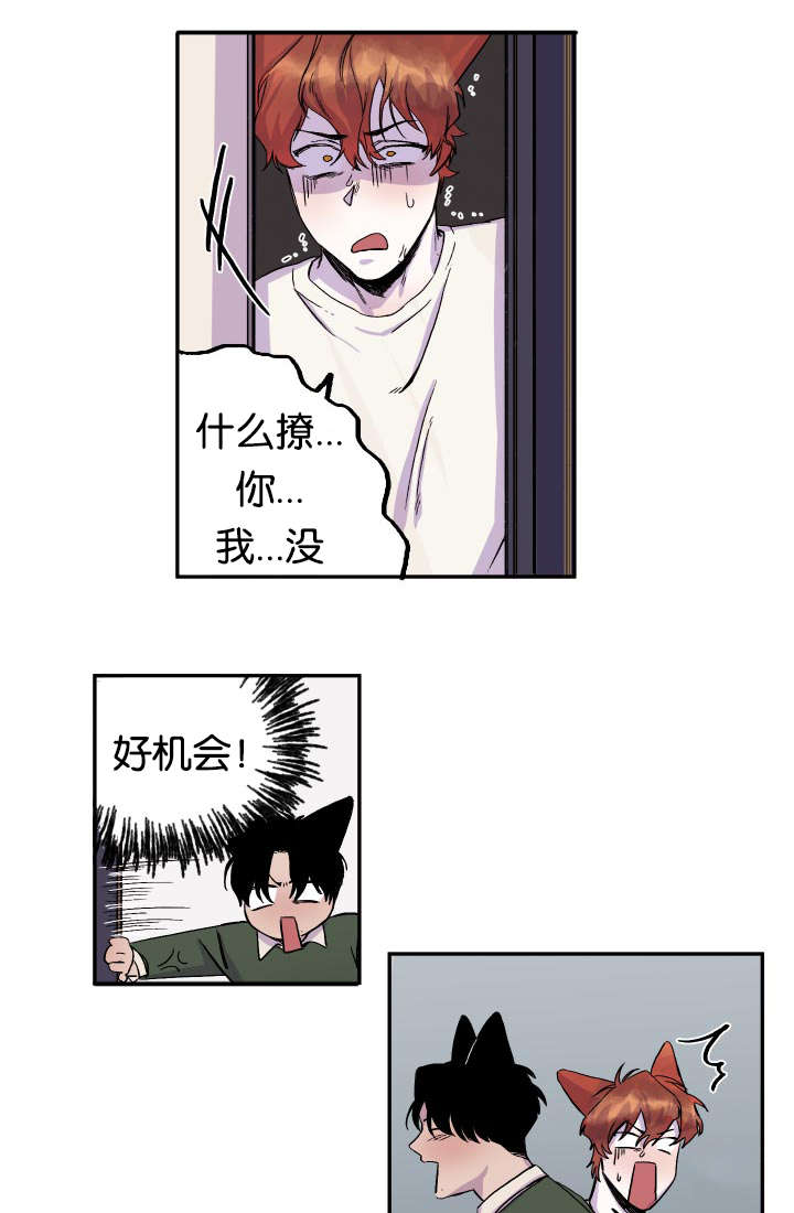 狐狸的天敌是狗吗漫画,第23章：痴汉2图