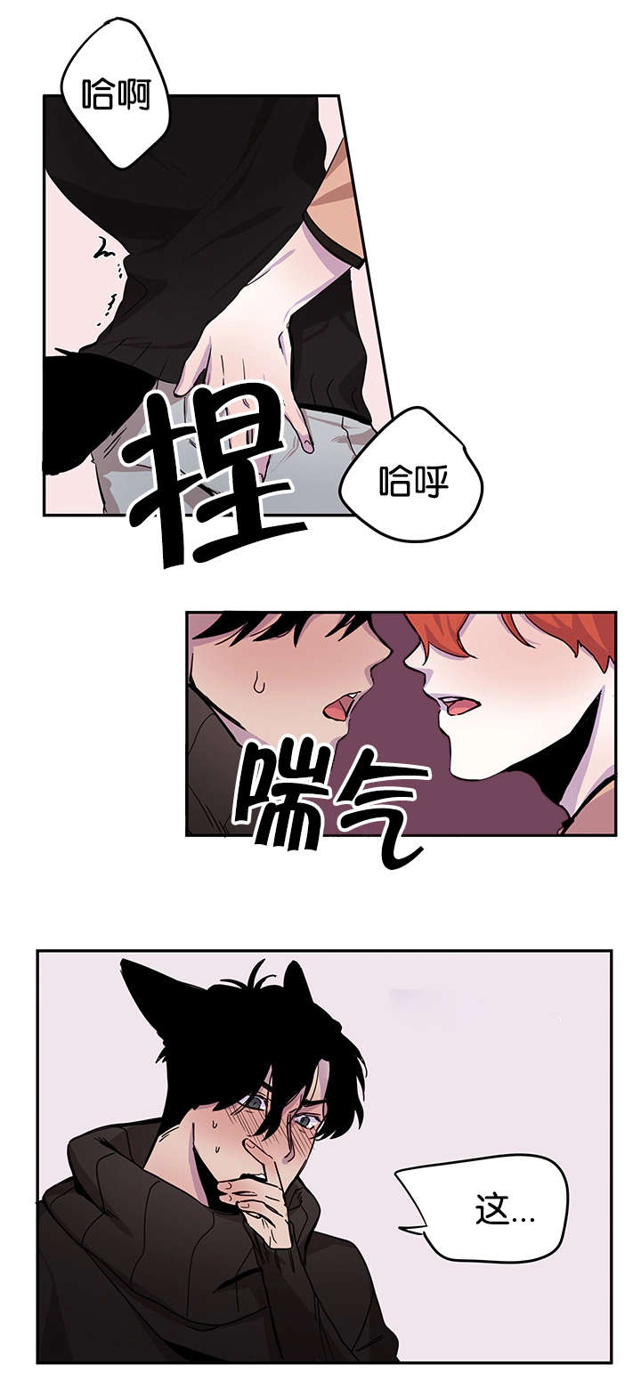 狐狸的天敌有谁漫画,第15章：事前准备2图