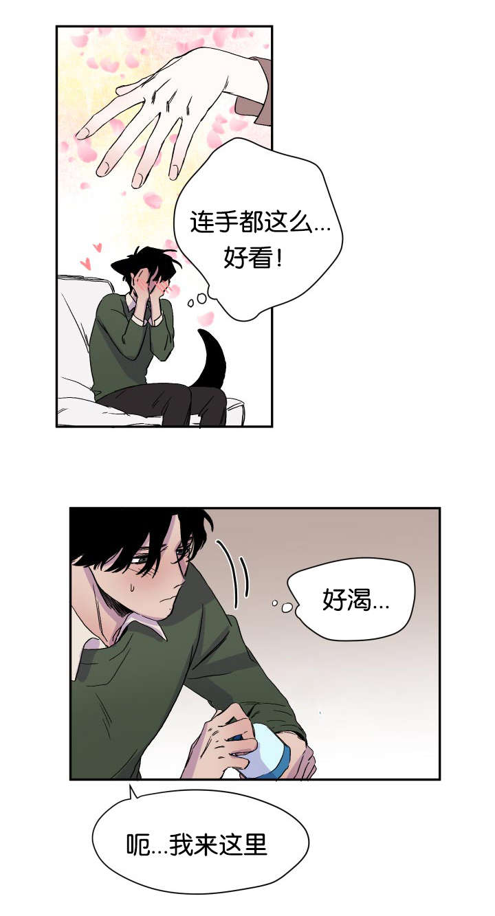 狐狸的夏天剧情介绍漫画,第24章：逐客令2图