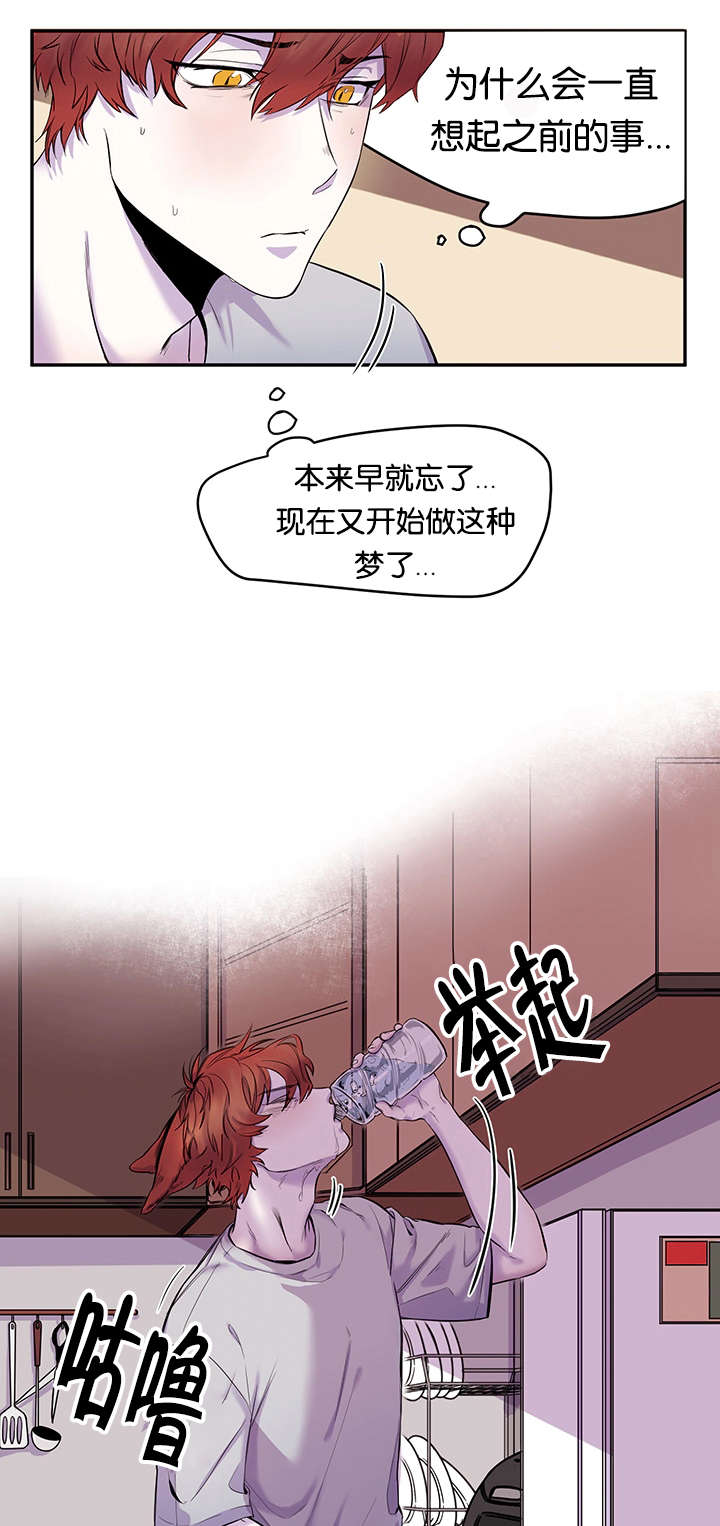 狐狸的天敌是什么动物漫画,第19章：休学打算1图