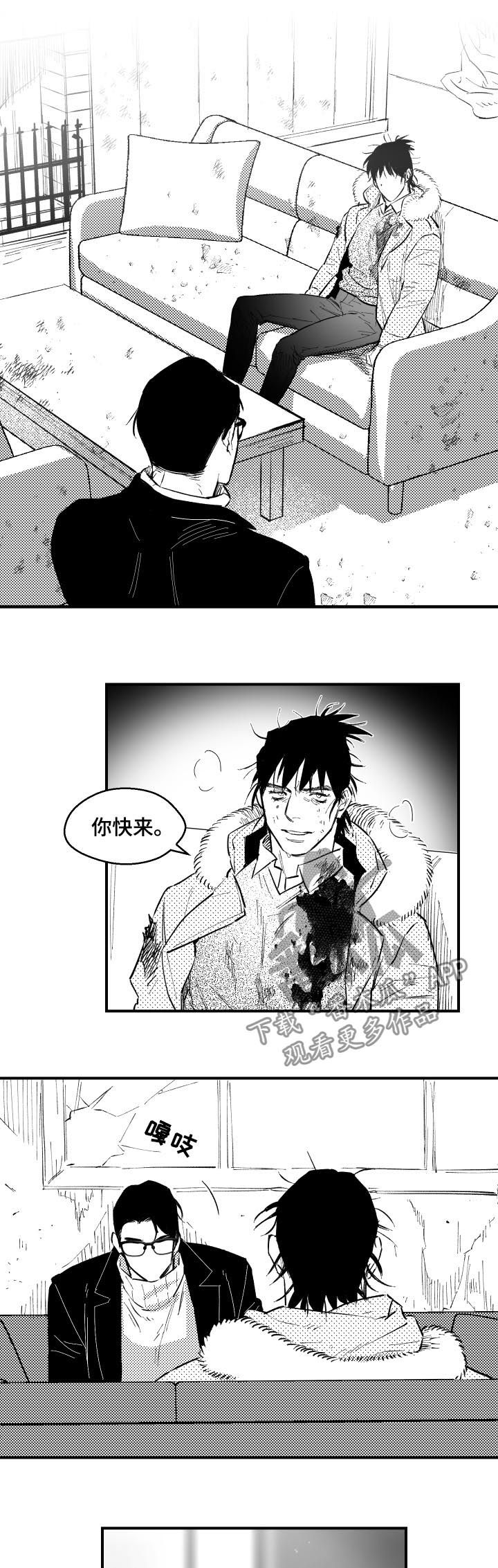 夜景精灵漫画,第137章：该结束了1图