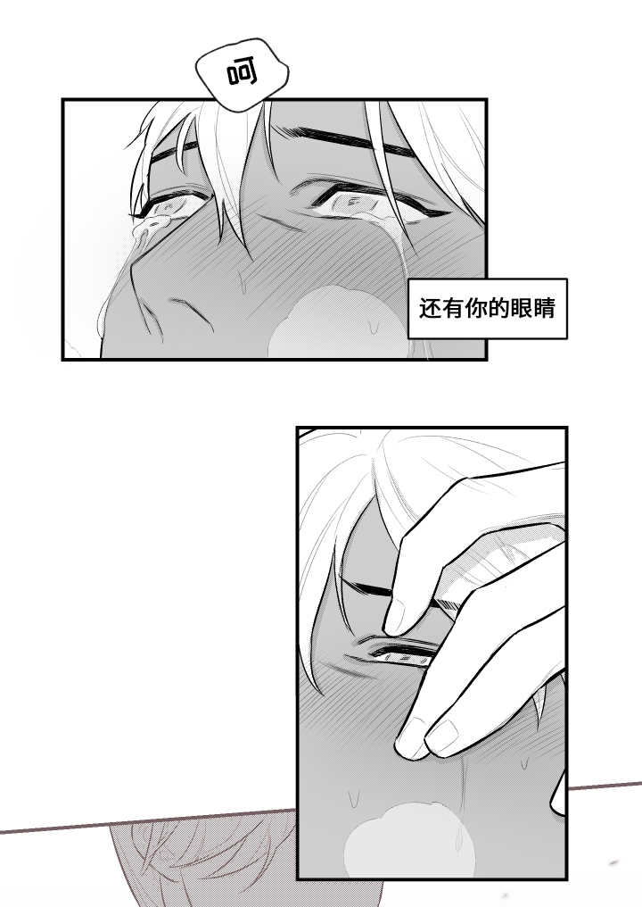 夜景精灵漫画,第16章：看望2图
