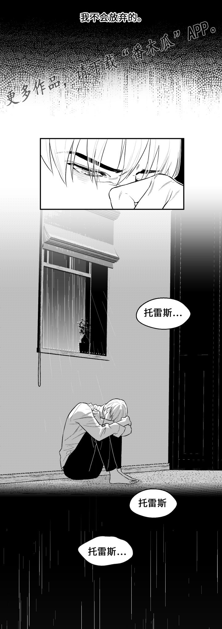 夜景精灵漫画,第28章：找到了1图