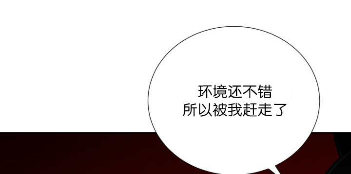 旷野之息箭漫画,第65章：我的全部1图