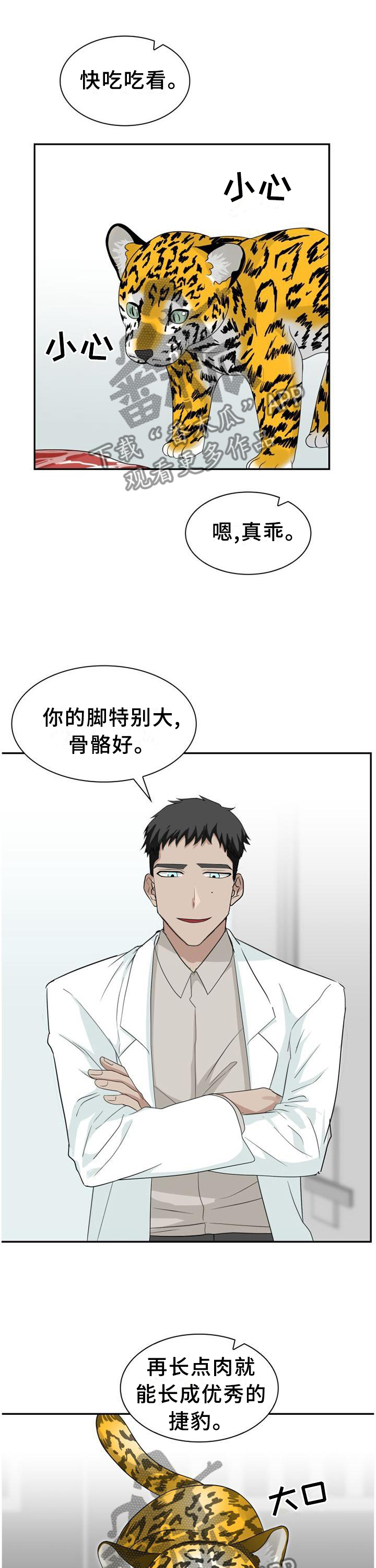 旷野之息漫画,第124章：【第二季】举报1图