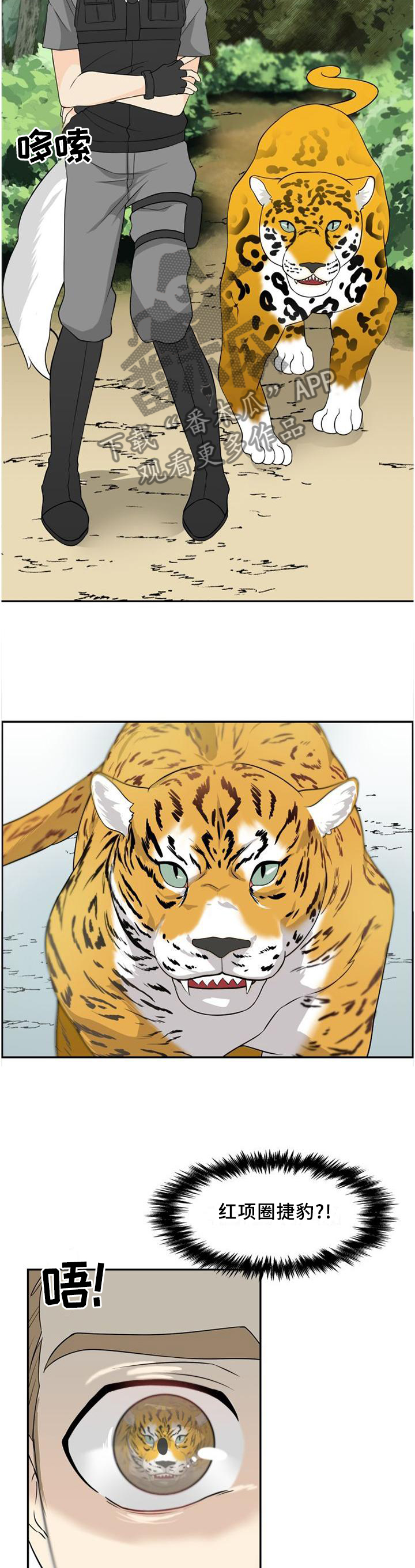 旷野之息箭漫画,第105章：【第二季】错觉1图