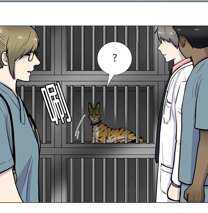 旷野之息箭漫画,第1章：好好表现2图