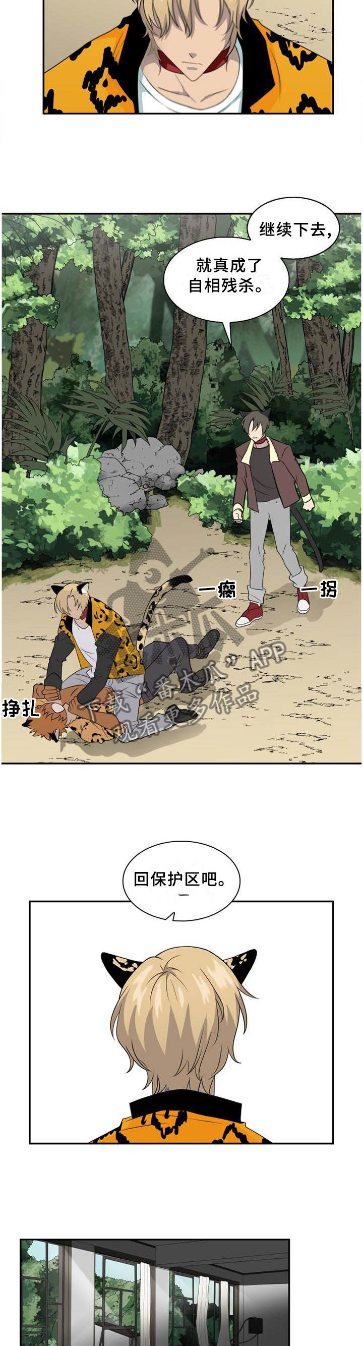 旷野之息箭漫画,第95章：【第二季】我们是什么?1图