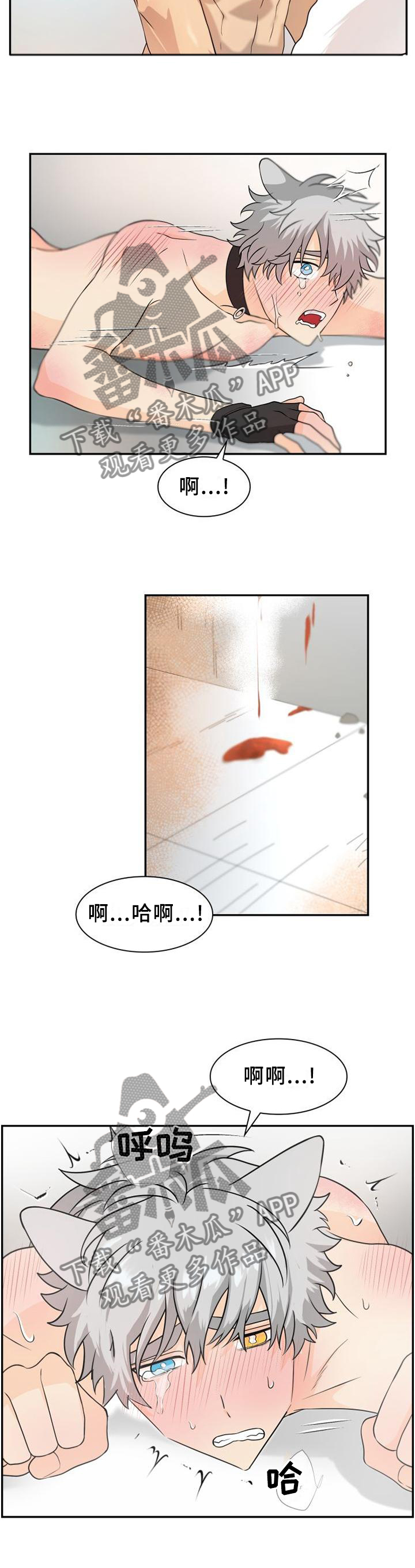 旷野之息箭漫画,第108章：【第二季】痊愈2图