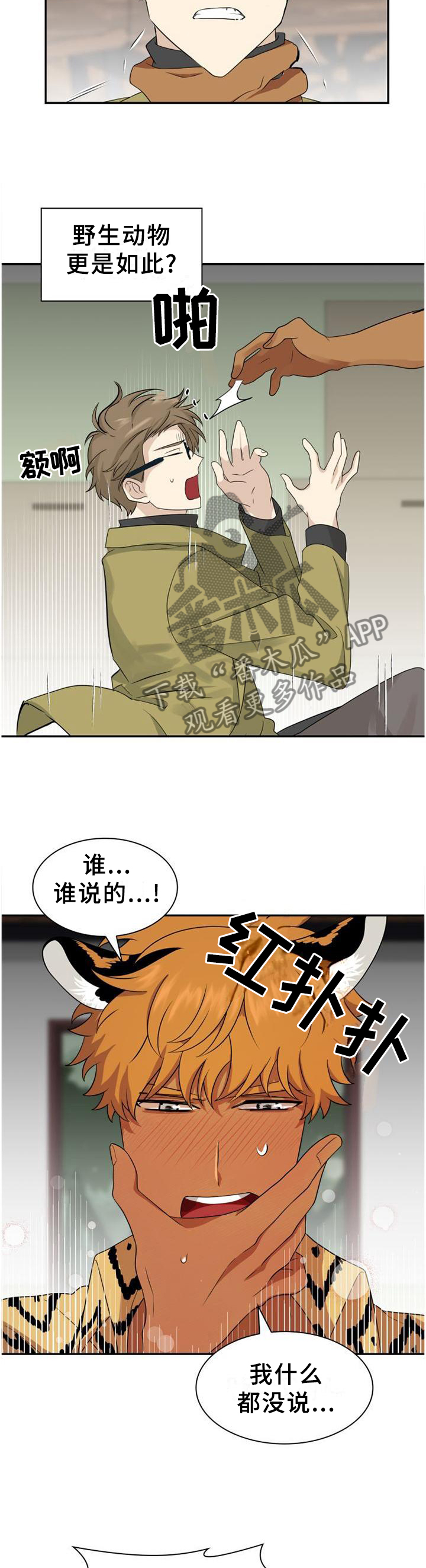 旷野之息箭漫画,第126章：【第二季】重要的人1图