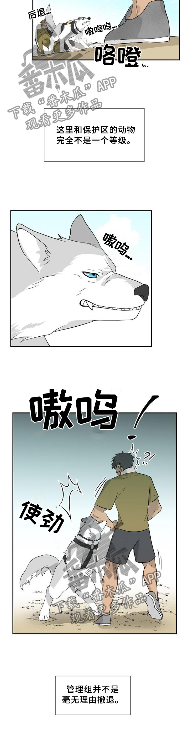 旷野之息箭漫画,第97章：【第二季】”包围”1图