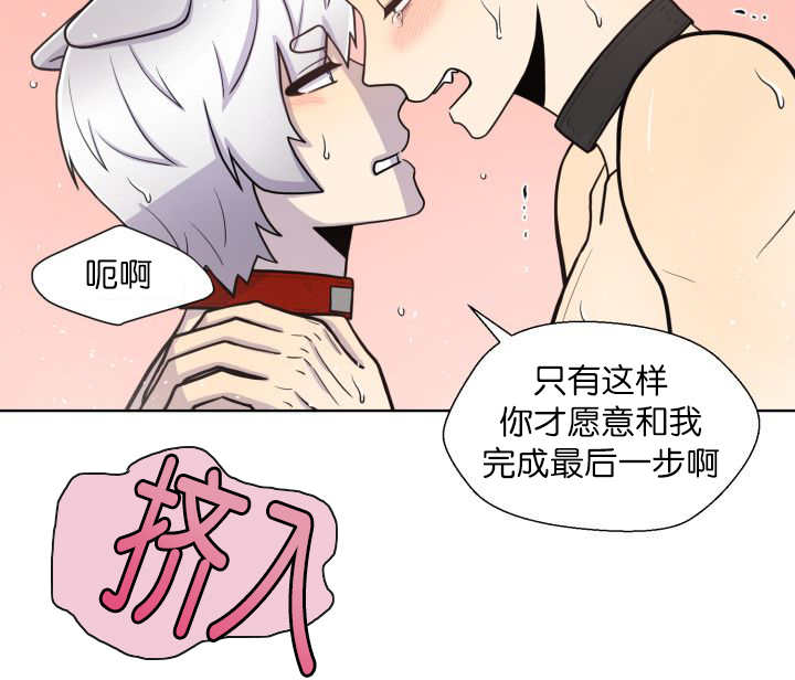 旷野之息箭漫画,第62章：怕弄疼我1图