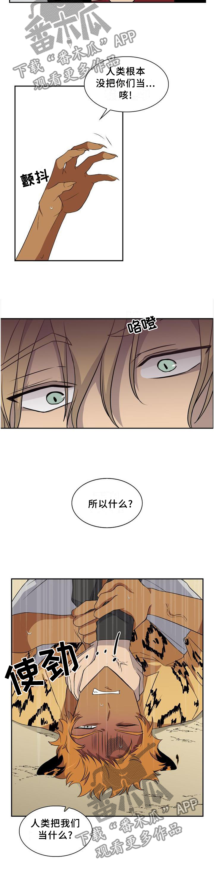 旷野之息箭漫画,第95章：【第二季】我们是什么?1图