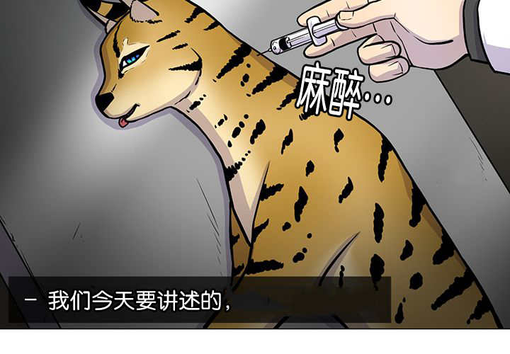 旷野之息箭漫画,第1章：好好表现2图