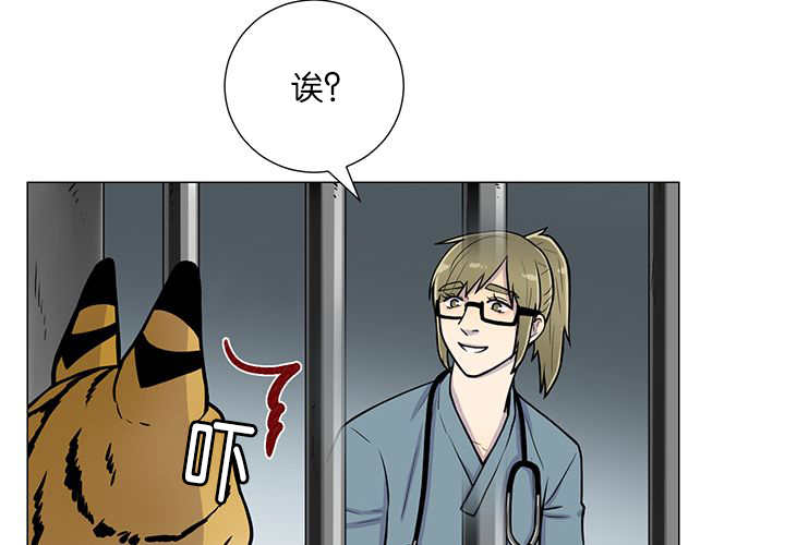 旷野之息箭漫画,第1章：好好表现1图