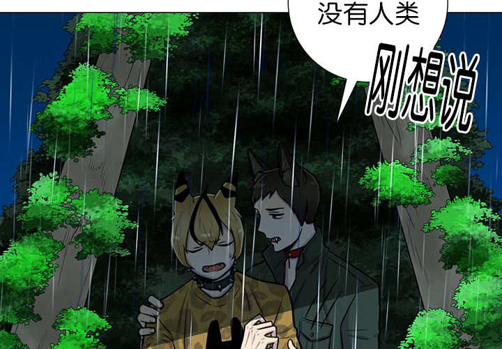 旷野之息箭漫画,第7章：永远都是2图