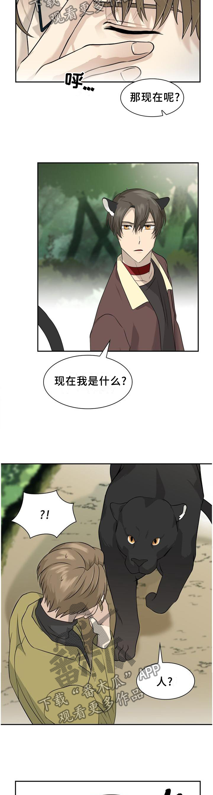 旷野之息漫画,第107章：【第二季】处理伤口1图