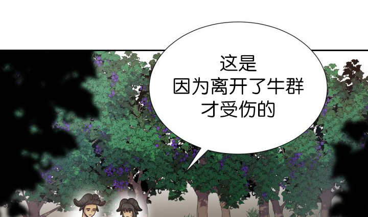 旷野之息箭漫画,第79章：有人关心2图
