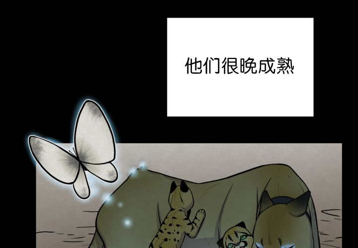 旷野之息箭漫画,第53章：确认领地1图