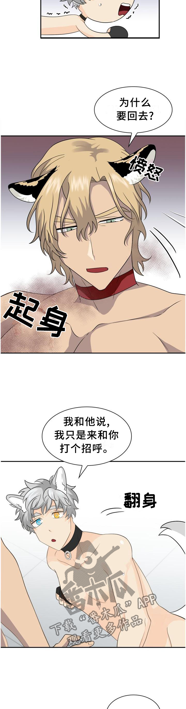 旷野之息箭漫画,第122章：【第二季】关系2图