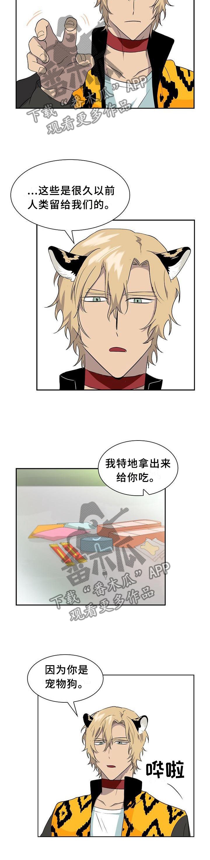 旷野之息箭漫画,第110章：【第二季】食物2图