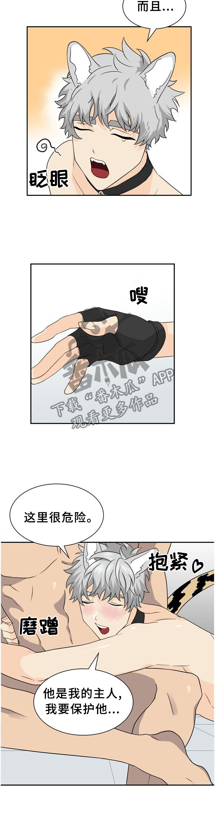 旷野之息箭漫画,第122章：【第二季】关系1图
