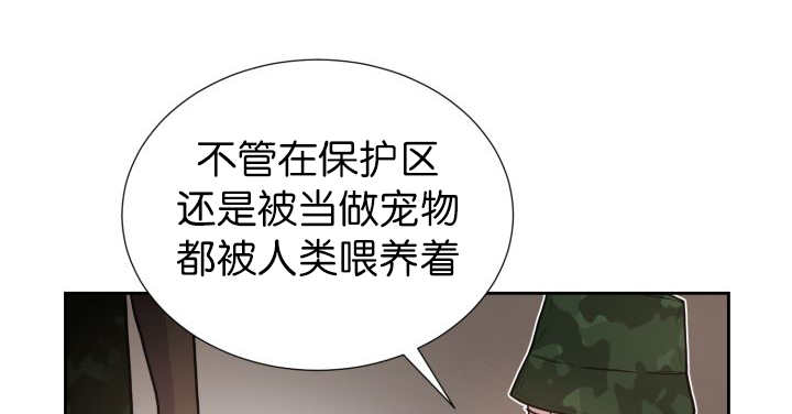 旷野之息箭漫画,第81章：要去哪里2图