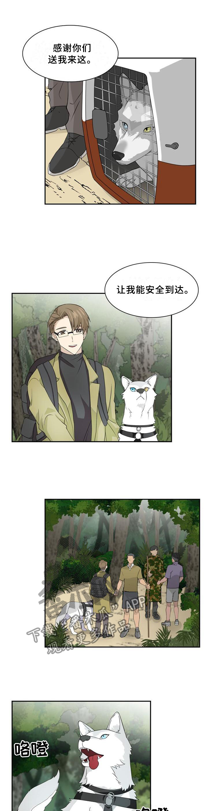旷野之息箭漫画,第96章：【第二季】枪声1图