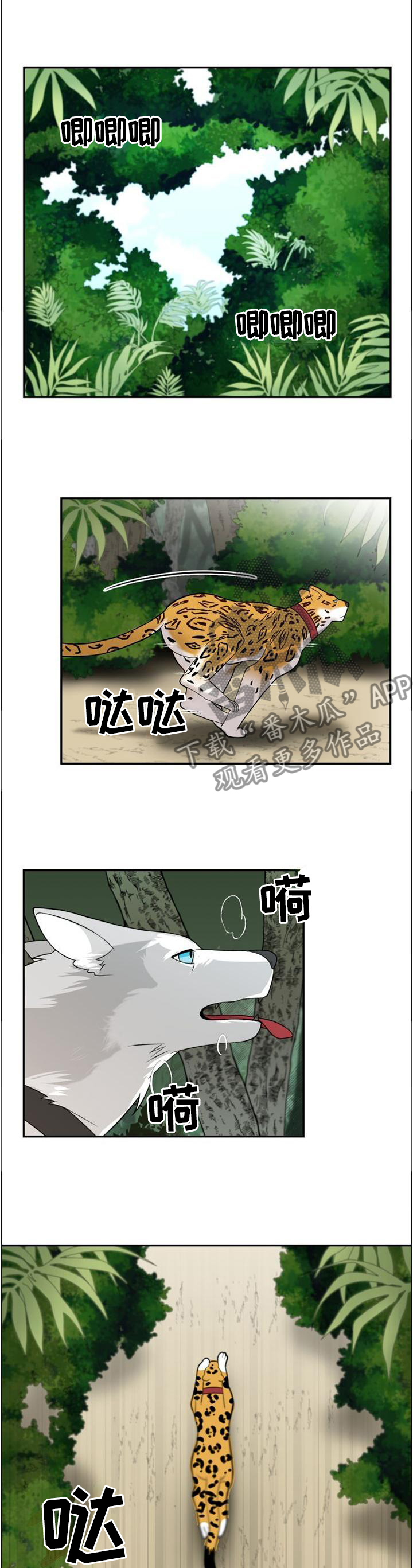 旷野之息箭漫画,第98章：【第二季】追逐1图