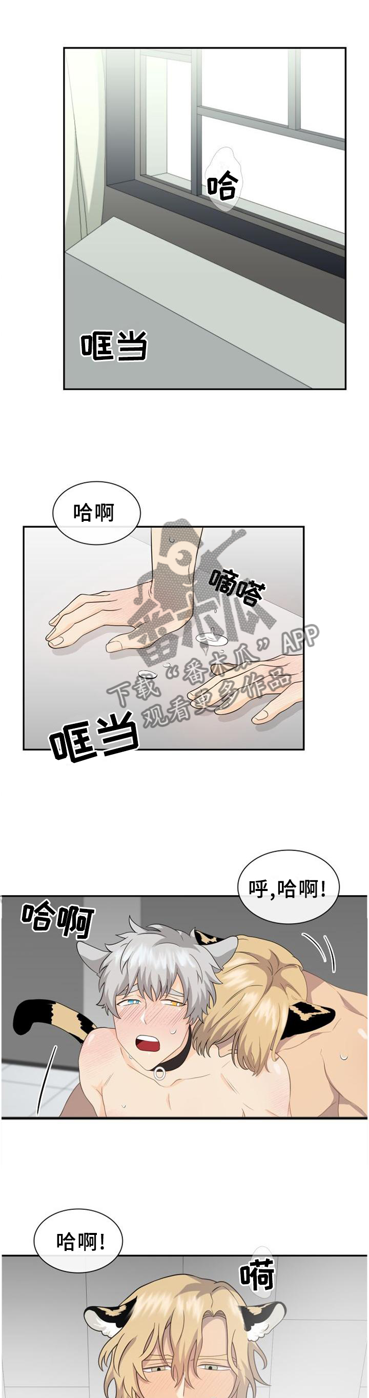 旷野之息箭漫画,第118章：【第二季】你的样子1图