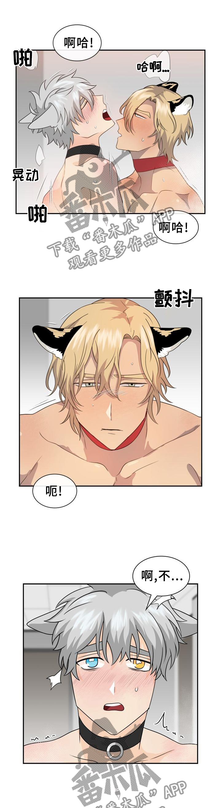 旷野之息箭漫画,第118章：【第二季】你的样子1图
