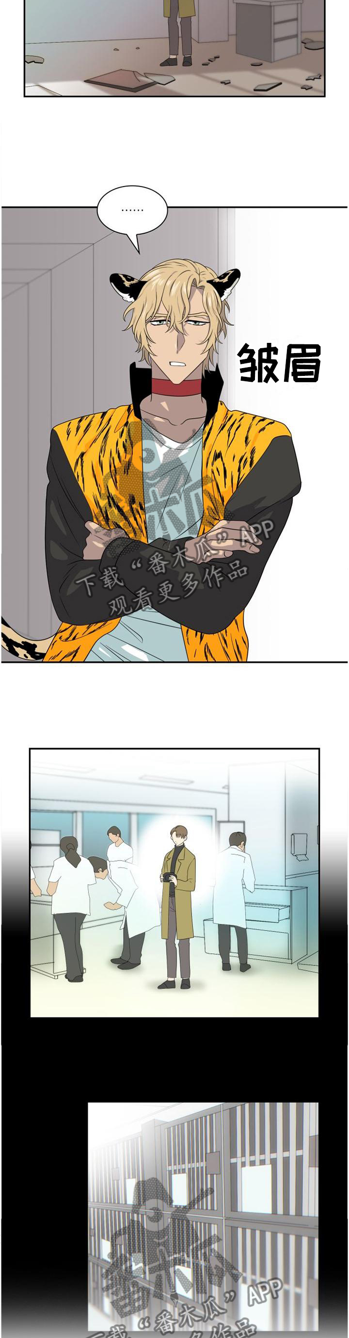 旷野之息箭漫画,第129章：【第二季】询问1图