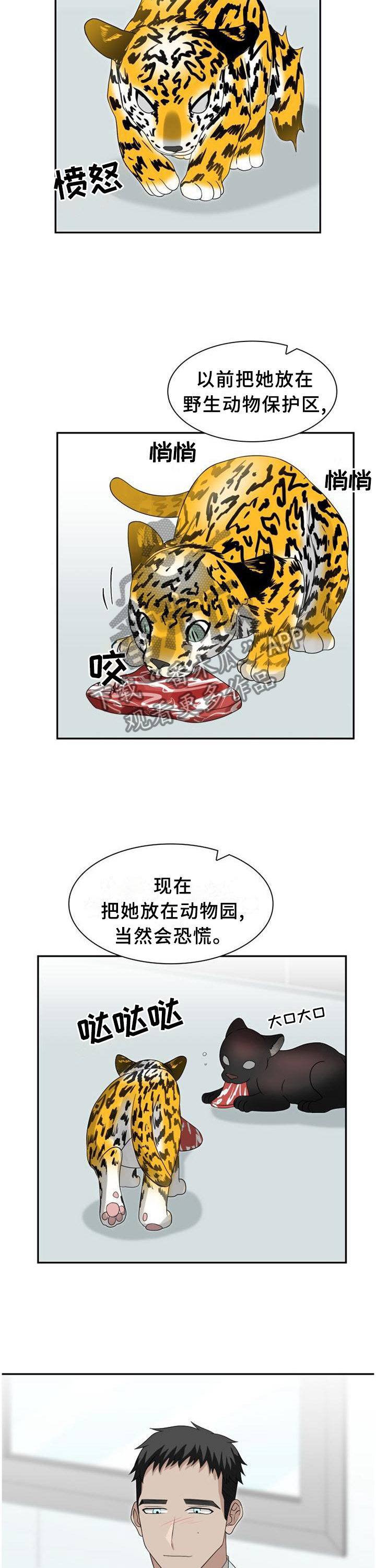 旷野之息漫画,第124章：【第二季】举报1图