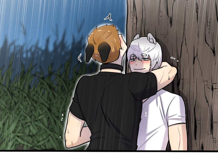 旷野之息箭漫画,第56章：只有这个1图