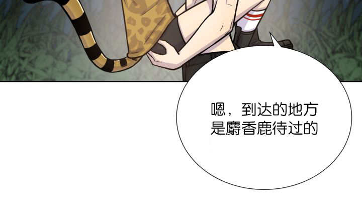 旷野之息箭漫画,第65章：我的全部2图