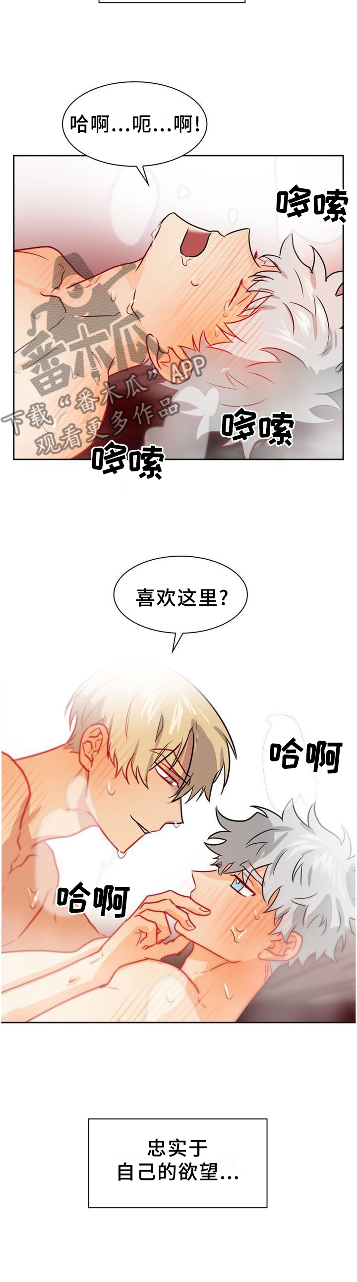旷野之息箭漫画,第141章：【第二季完结】有你的地方2图