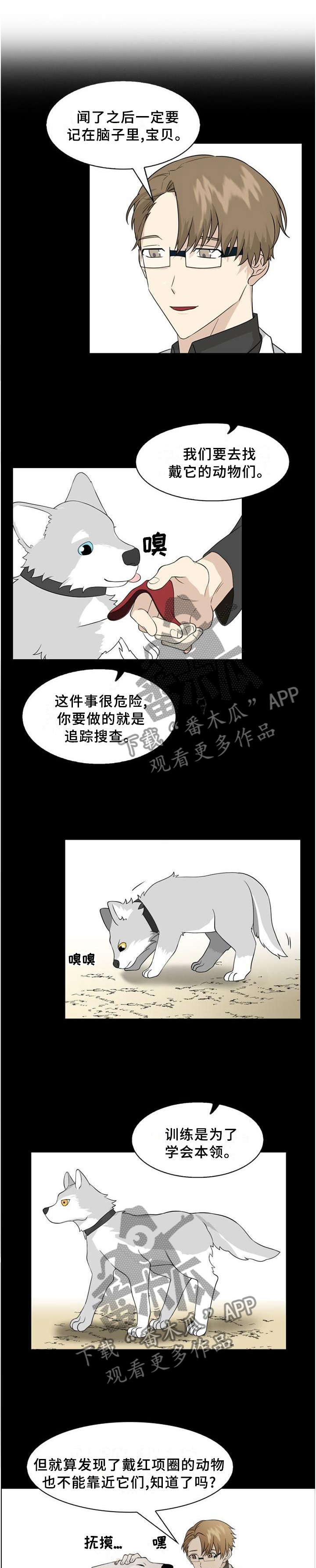 旷野之息漫画,第99章：【第二季】质问1图